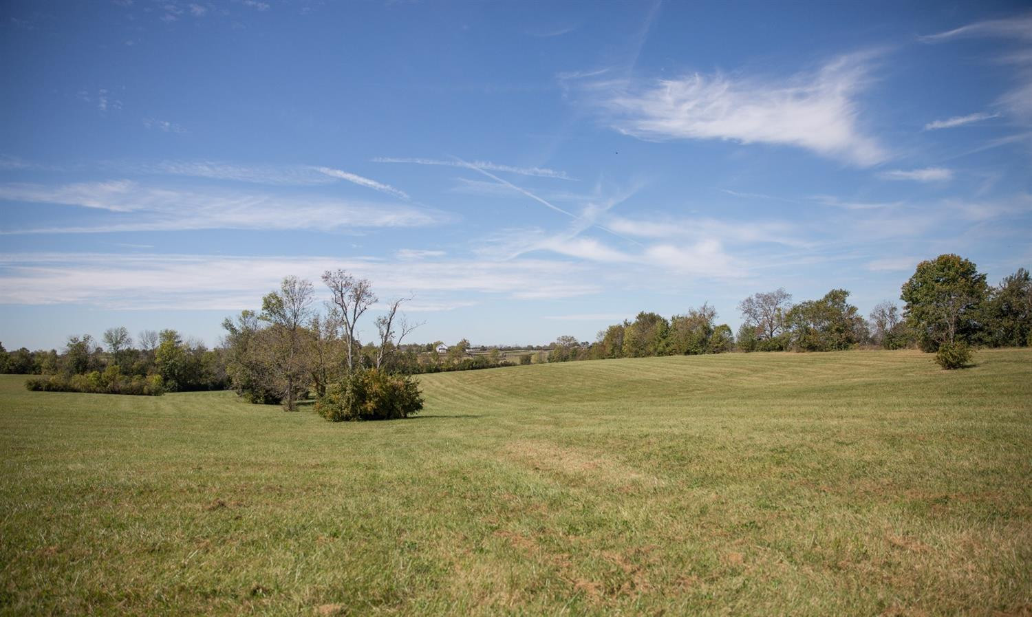 455 Iron Works Road Paris, KY 40361 - Photo 18 of 23 Photo 18