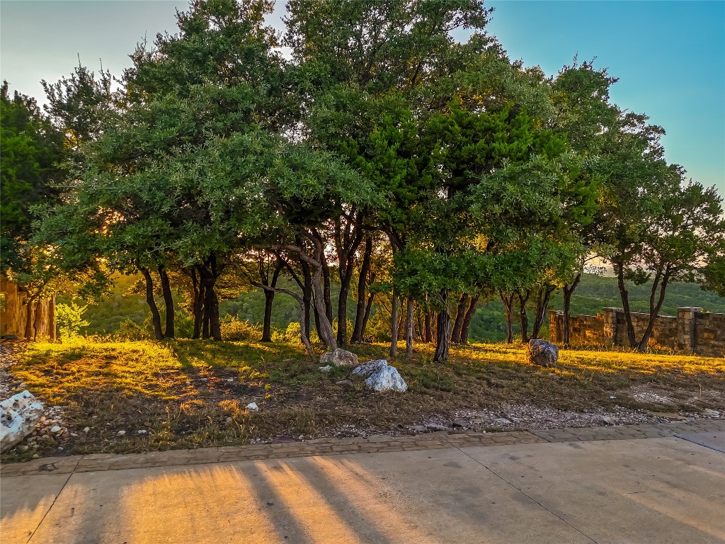 7116 Cielo Azul Pass Austin, TX 78732 - Photo 3 of 17 a view of road with trees