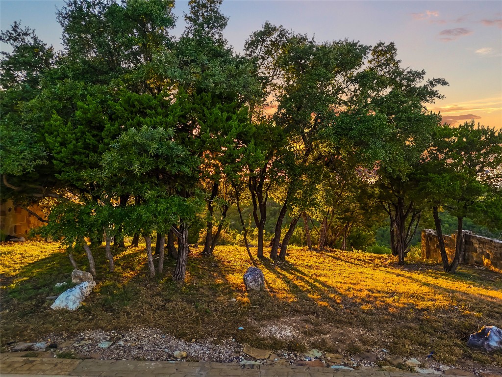 7116 Cielo Azul Pass Austin, TX 78732 - Photo 4 of 17 a view of backyard space