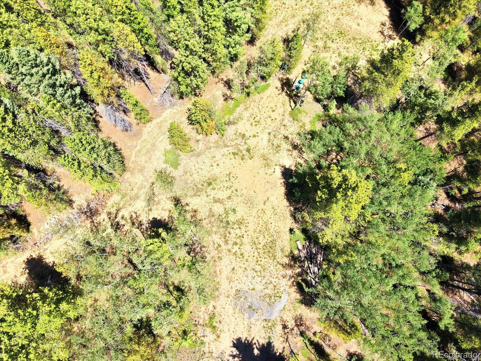 5940 Virginia Canyon Road Central City, CO 80427 - Photo 20 of 28 a view of a tree