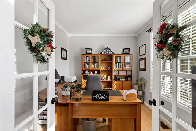 a room with furniture and a potted plant