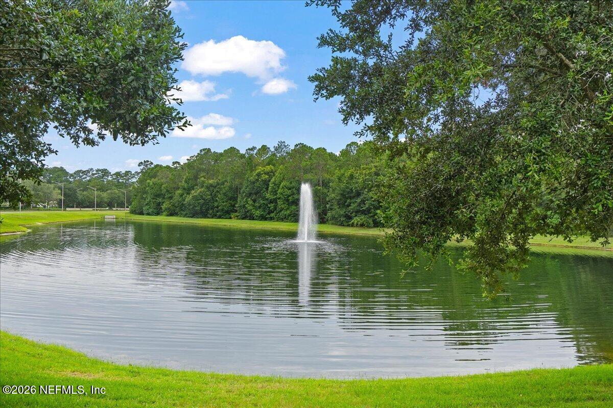 13956 Berryview Road Jacksonville, FL 32258 - Photo 34 of 40 Nature preserve