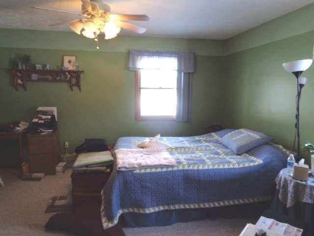 33260 Rohlfs Lane Niles, MI 49120 - Photo 22 of 36 Close view of master bedroom