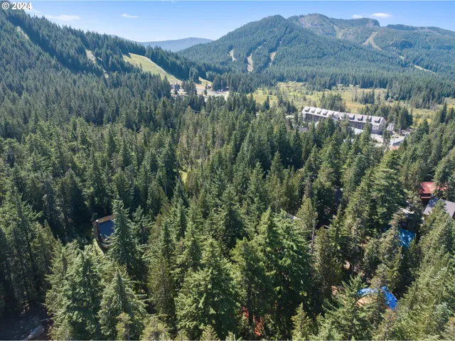 $1,050,000 | 88940 East Round Mountain Loop Road, Government Camp, OR 97028