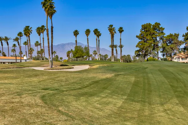 a view of a tall building with palm trees