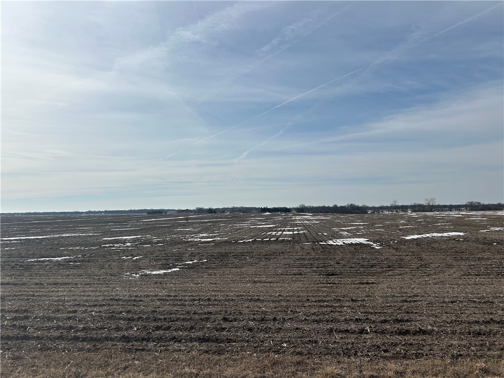 1 Ridgley Road Dalton City, IL 61925 - Photo 2 of 5