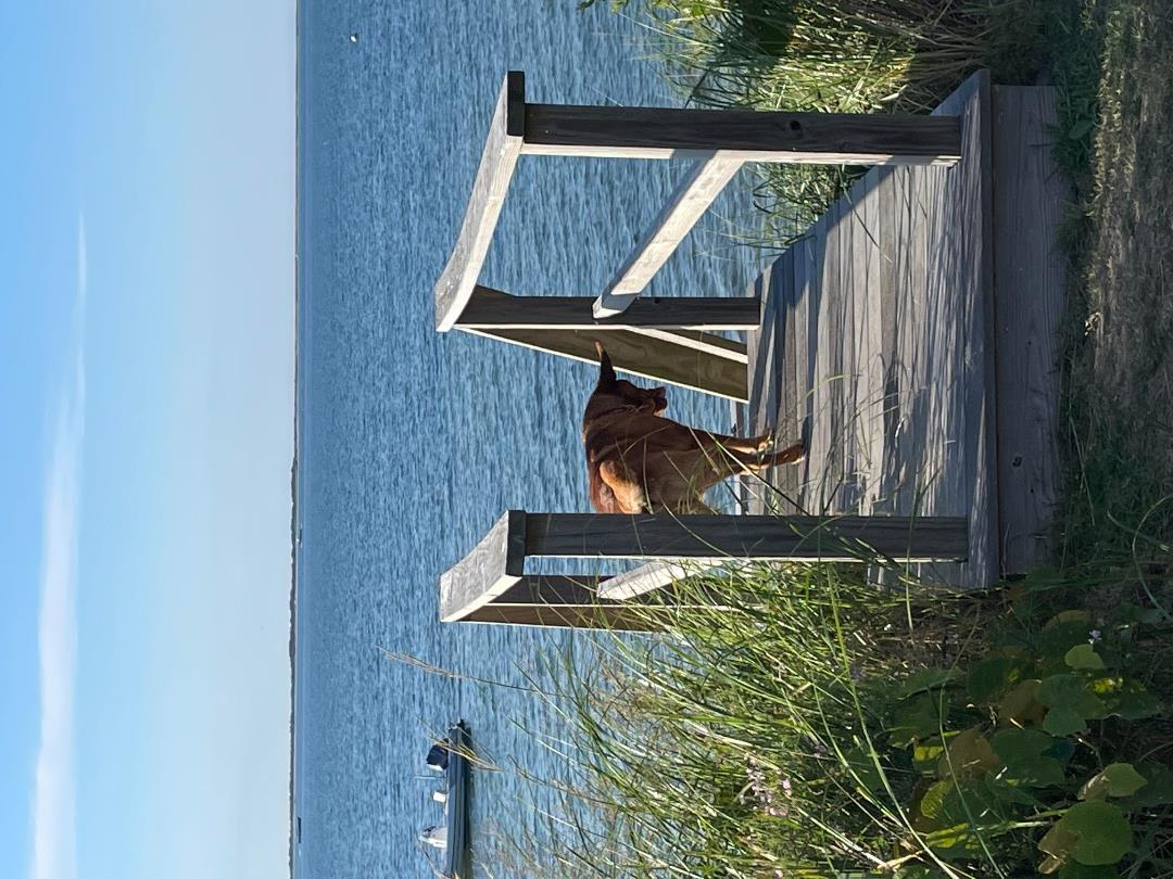 39 Quaise Road Nantucket, MA 02554 - Photo 4 of 23