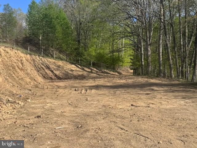 Tbd Shaffers Run Road Mill Creek, WV 26280 - Photo 13 of 43