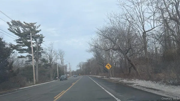 a street view with large trees