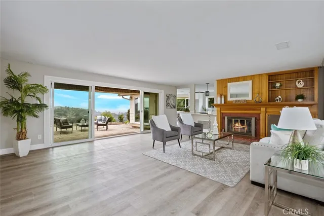a living room with furniture a fireplace a potted plant and a large window