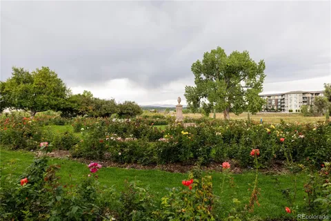 a view of a flower in a garden