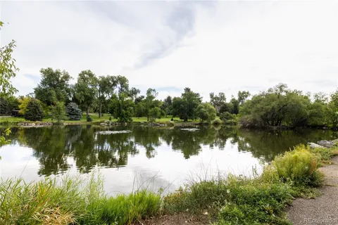 a body of water with a tree in the background