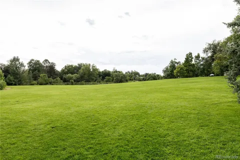 a view of a field with an ocean