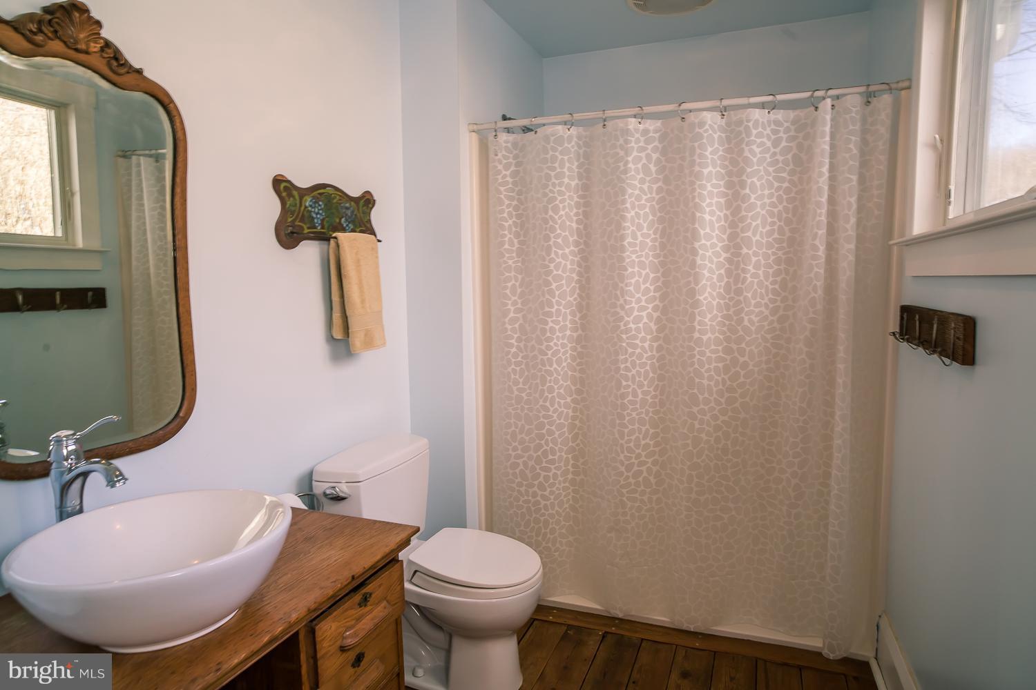 1459 Feltner Road Bluemont, VA 20135 - Photo 24 of 30 Bath