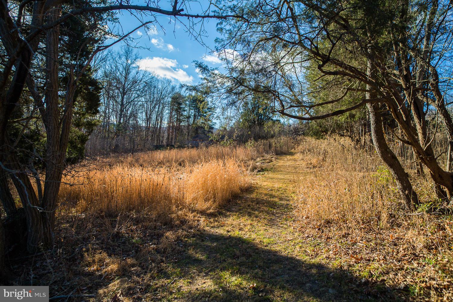 1459 Feltner Road Bluemont, VA 20135 - Photo 27 of 30 Trails throughout property