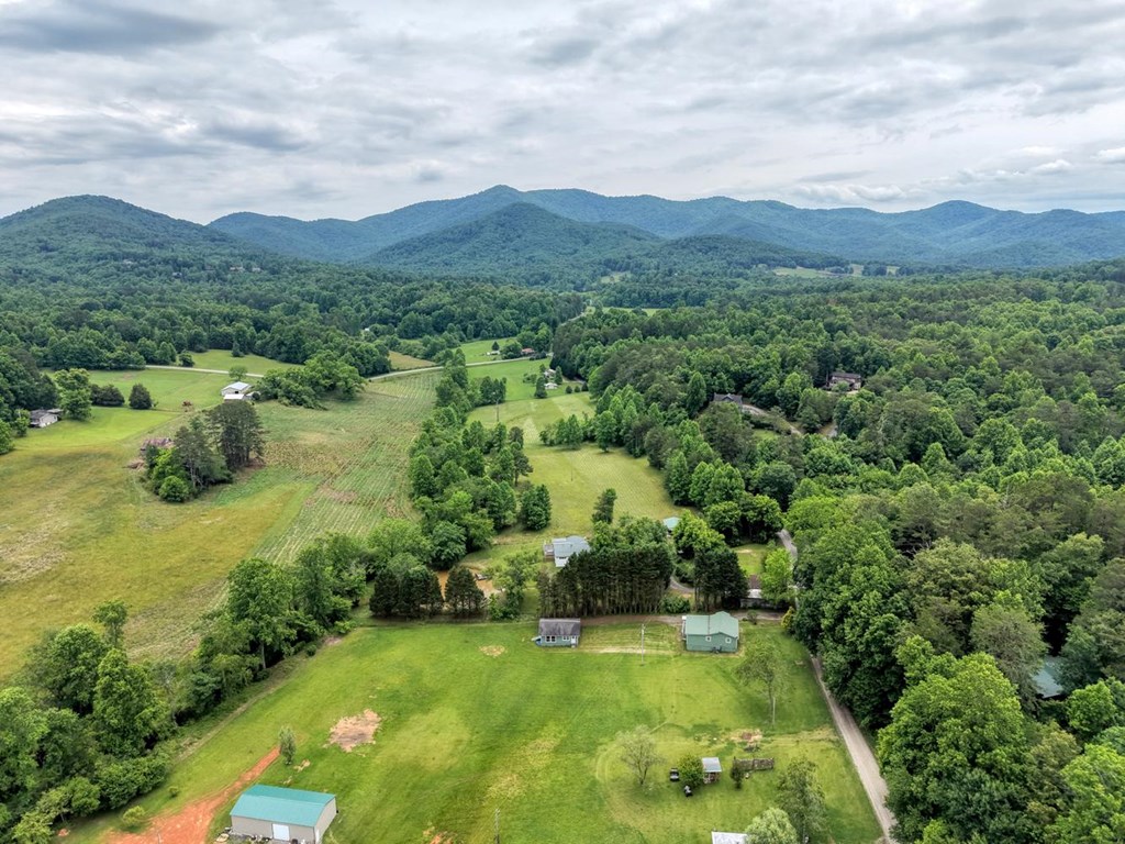 233 Messer Road Warne, NC 28909 - Photo 45 of 47