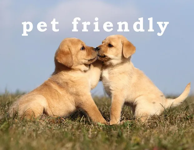 a front view of multi story residential apartment building with a yard