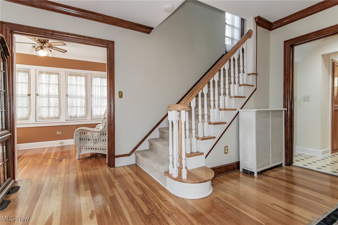 3336 Daleford Road Cleveland, OH 44120 - Photo 21 of 49 So much Character!