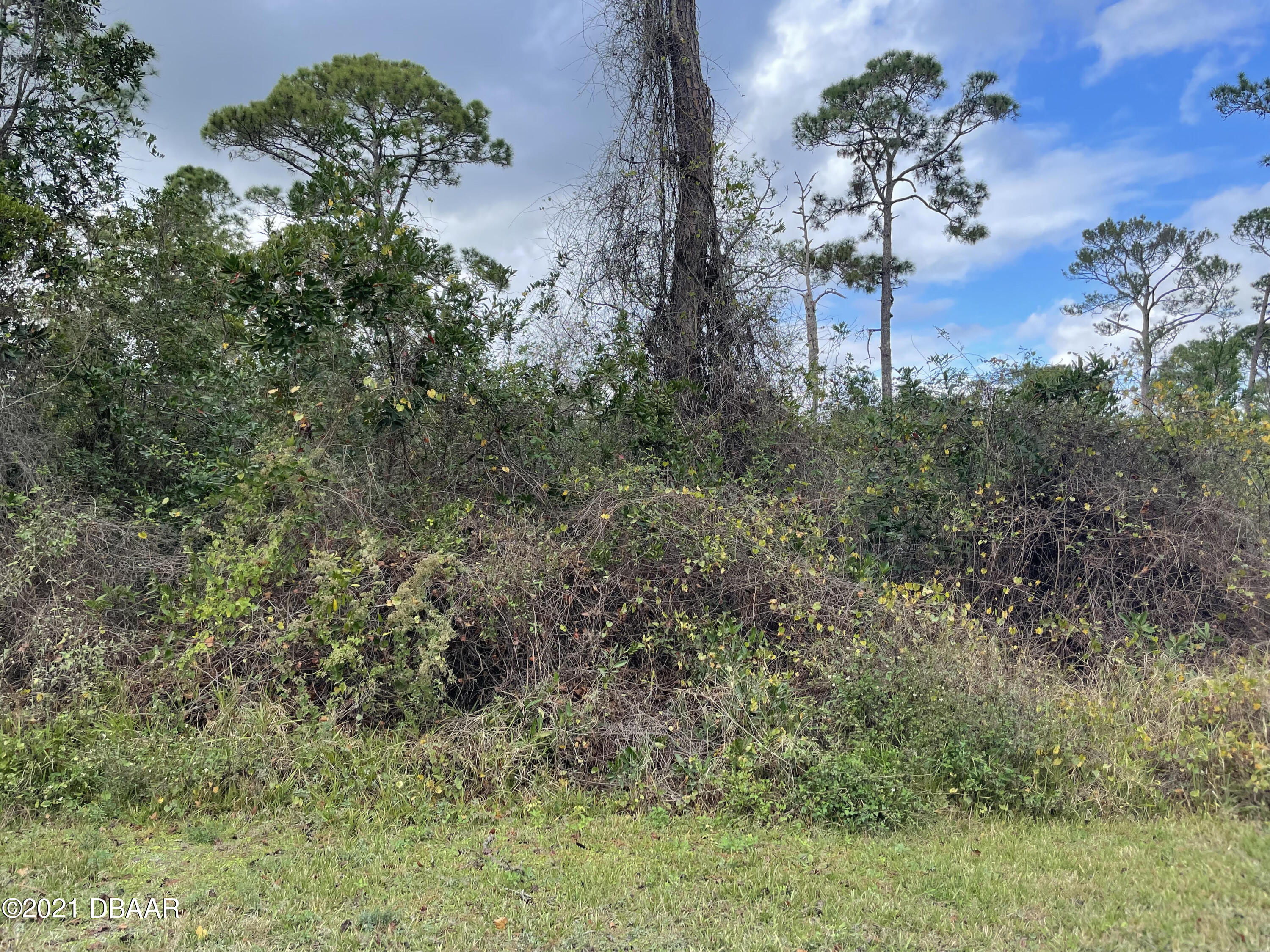 Quail Ranch Road Lot