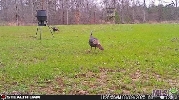 $245,000 | Tbd Seale Road, Roxie, MS 39661