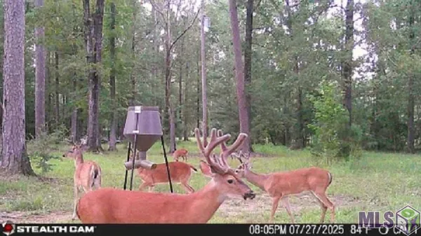 $245,000 | Tbd Seale Road, Roxie, MS 39661