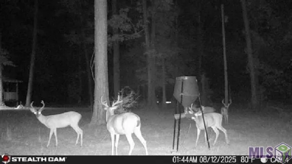 $245,000 | Tbd Seale Road, Roxie, MS 39661