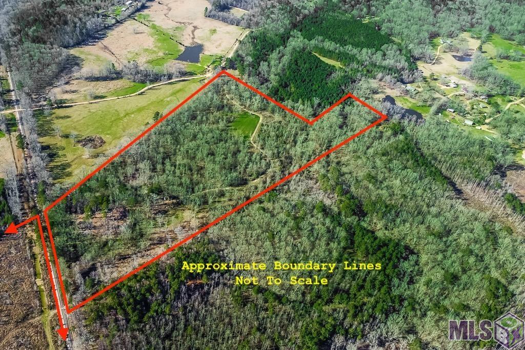 Tbd Seale Road Roxie, MS 39661 - Photo 2 of 20