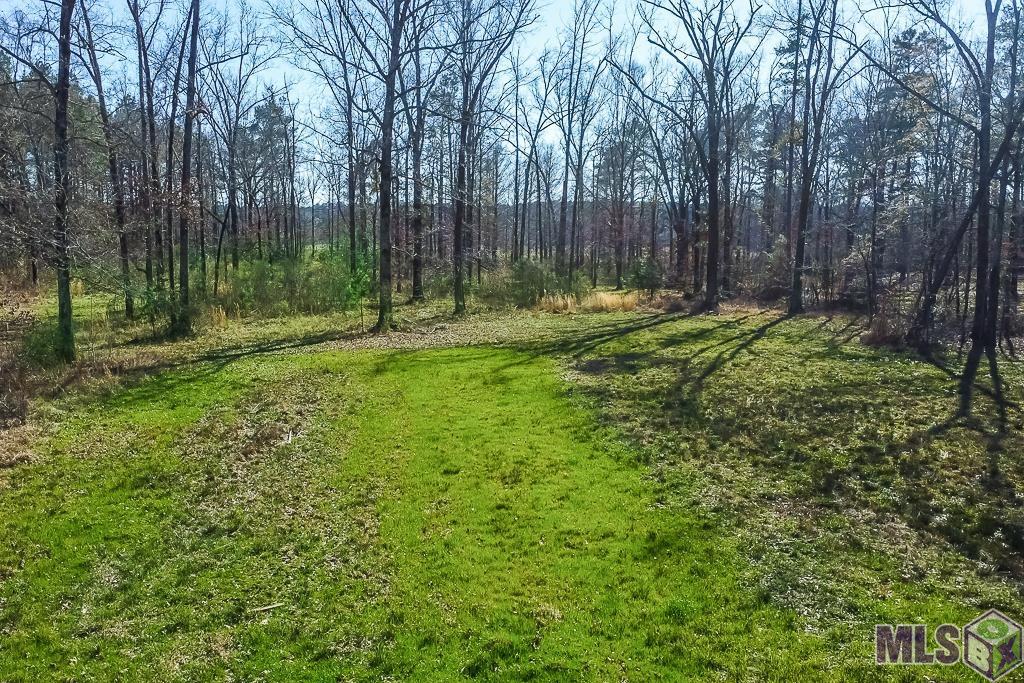 Tbd Seale Road Roxie, MS 39661 - Photo 4 of 20