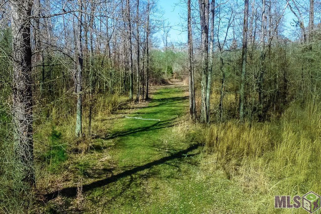 Tbd Seale Road Roxie, MS 39661 - Photo 5 of 20