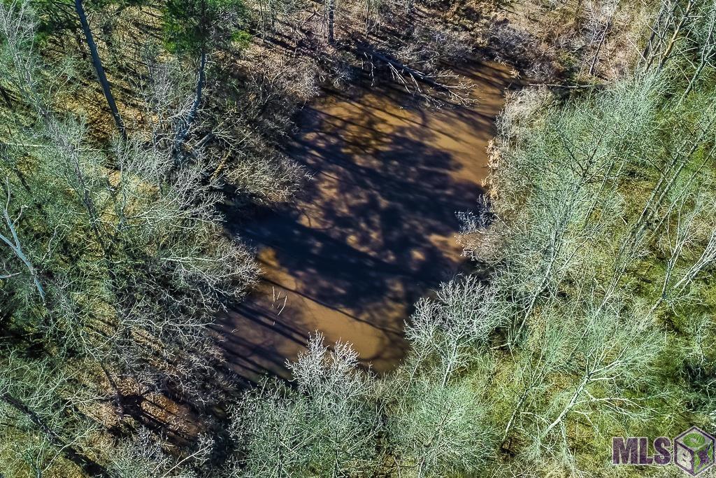 Tbd Seale Road Roxie, MS 39661 - Photo 6 of 20