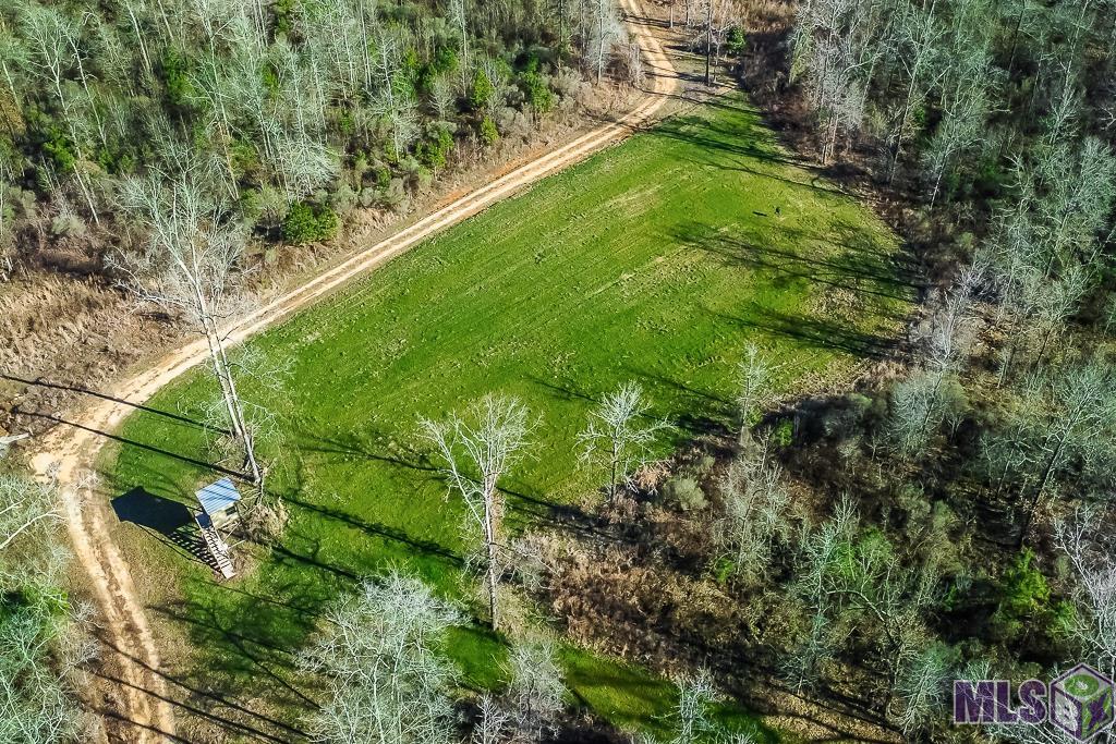 Tbd Seale Road Roxie, MS 39661 - Photo 8 of 20