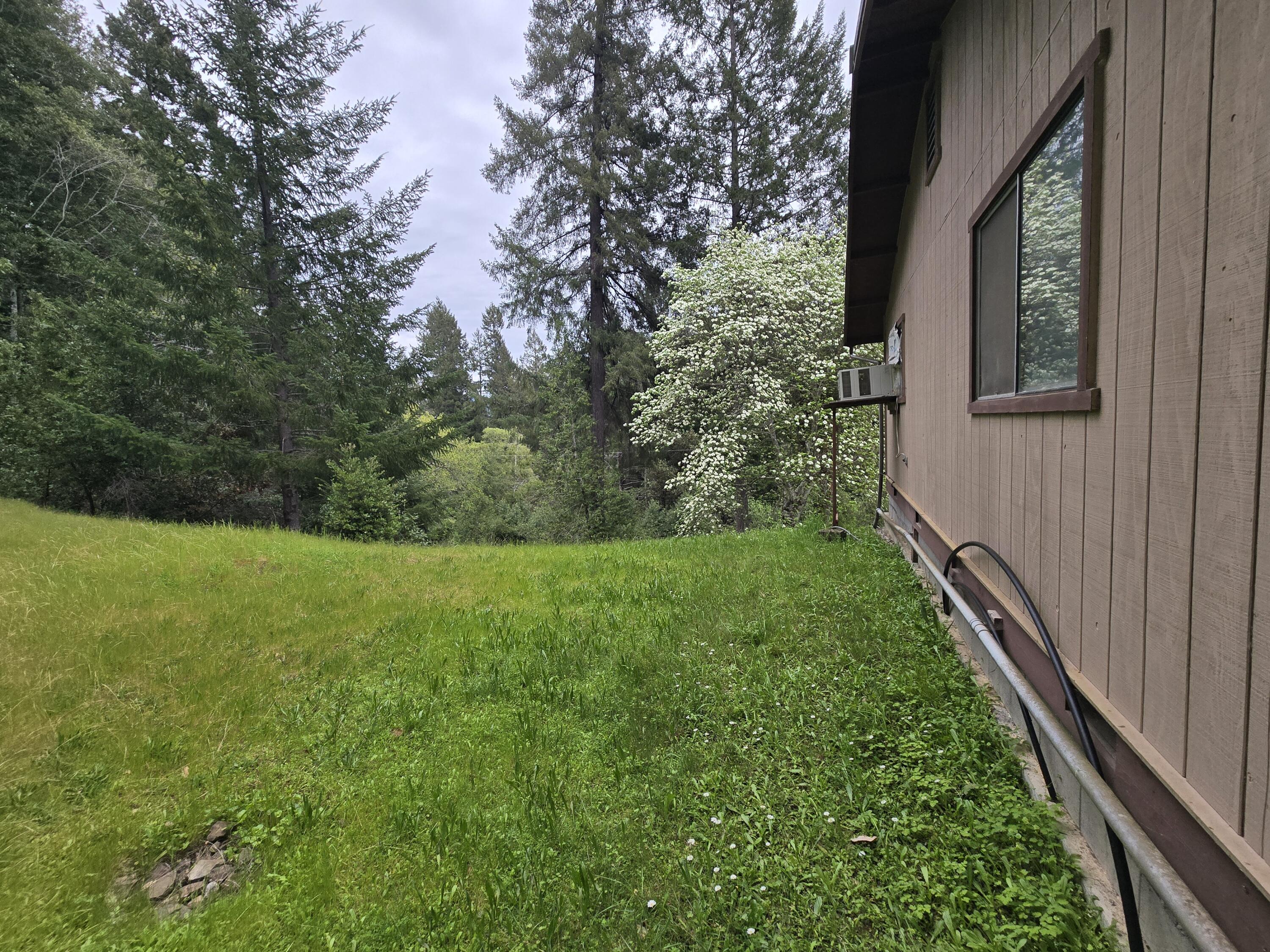 330 Colony Road Myers Flat, CA 95554 - Photo 38 of 41