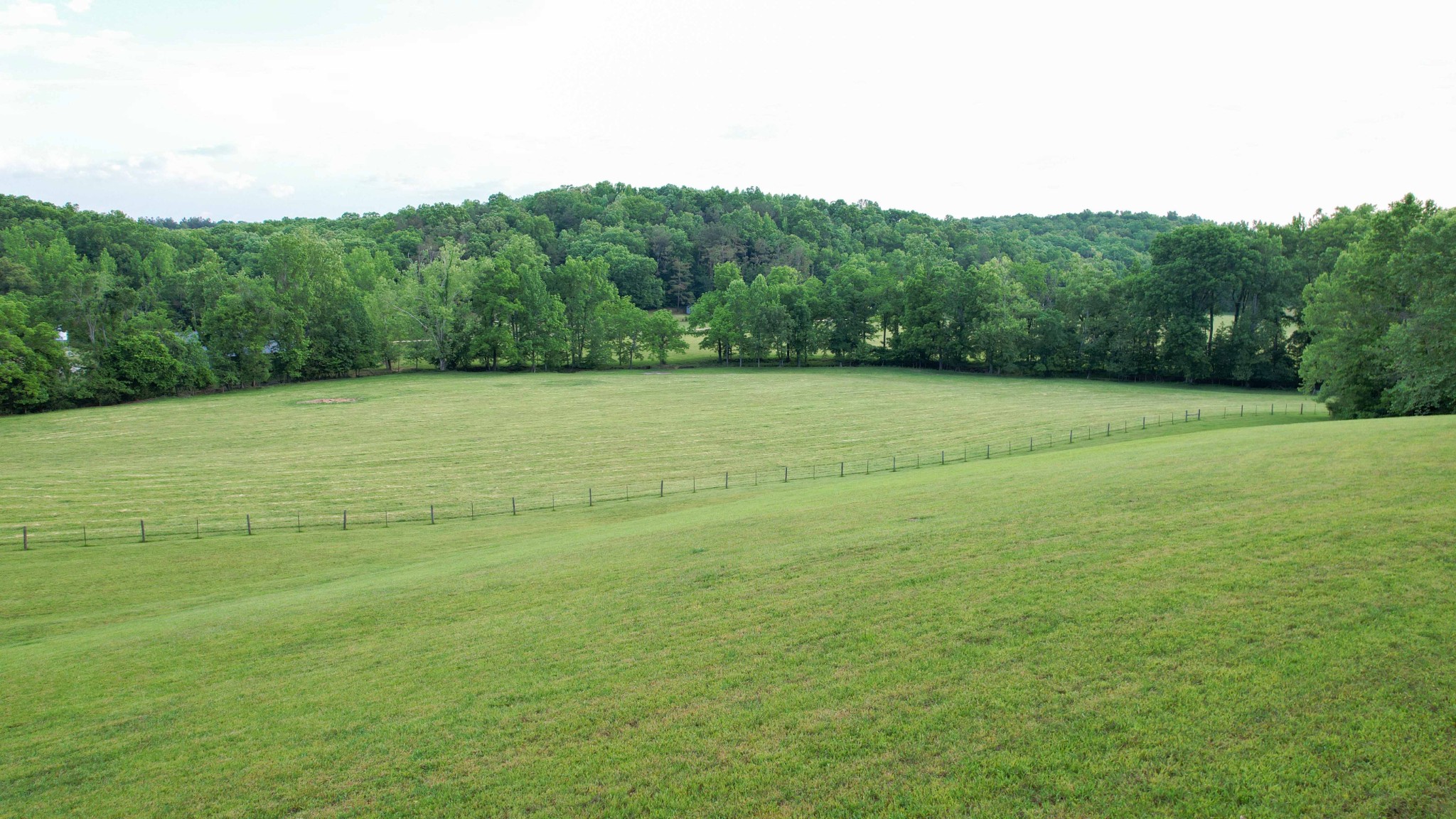 1267 Wades Branch Road Centerville, TN 37033 - Photo 48 of 73