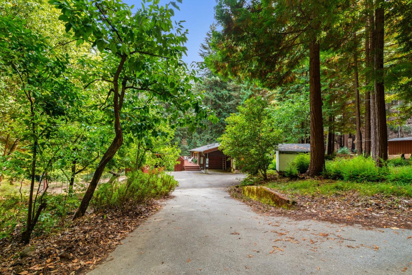 605 Waldeberg Road Ben Lomond, CA 95005 - Photo 36 of 45 a view of a house with large trees and plants