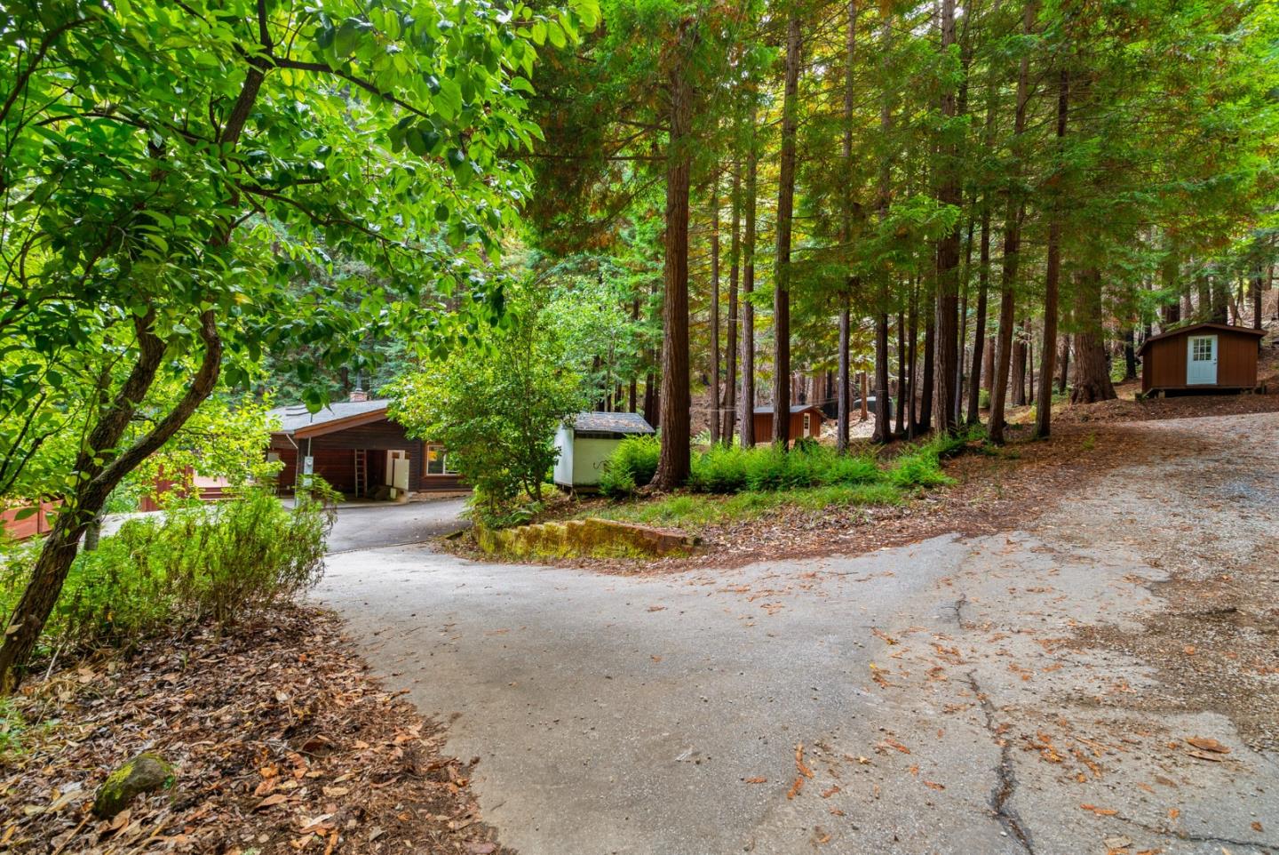 605 Waldeberg Road Ben Lomond, CA 95005 - Photo 37 of 45 a view of a park with plants and trees