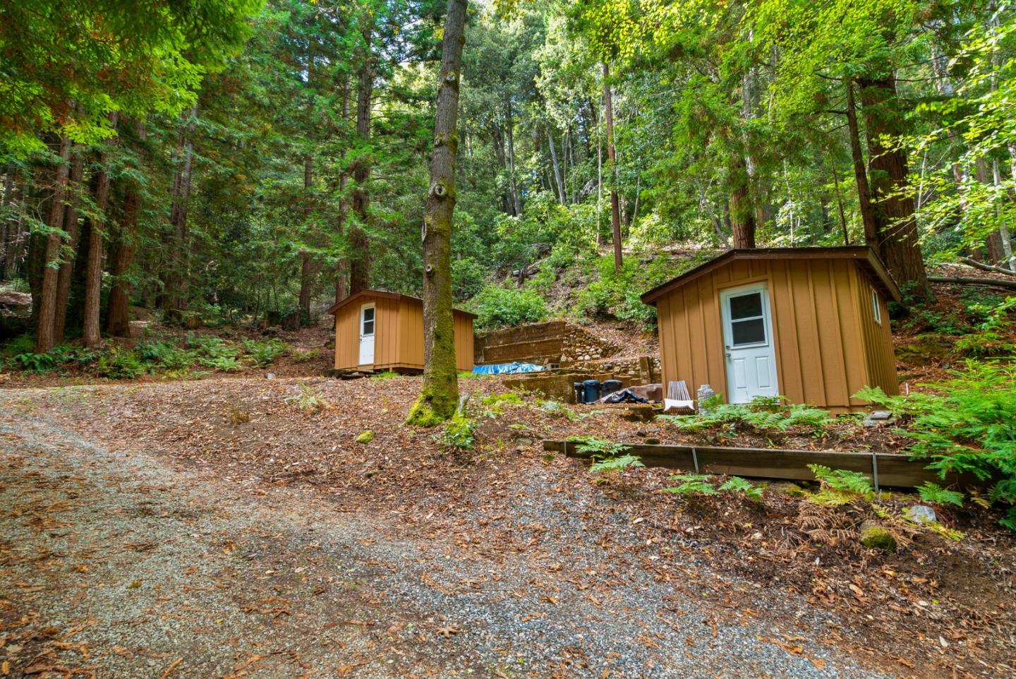 605 Waldeberg Road Ben Lomond, CA 95005 - Photo 38 of 45 a backyard of a house with plants and large trees
