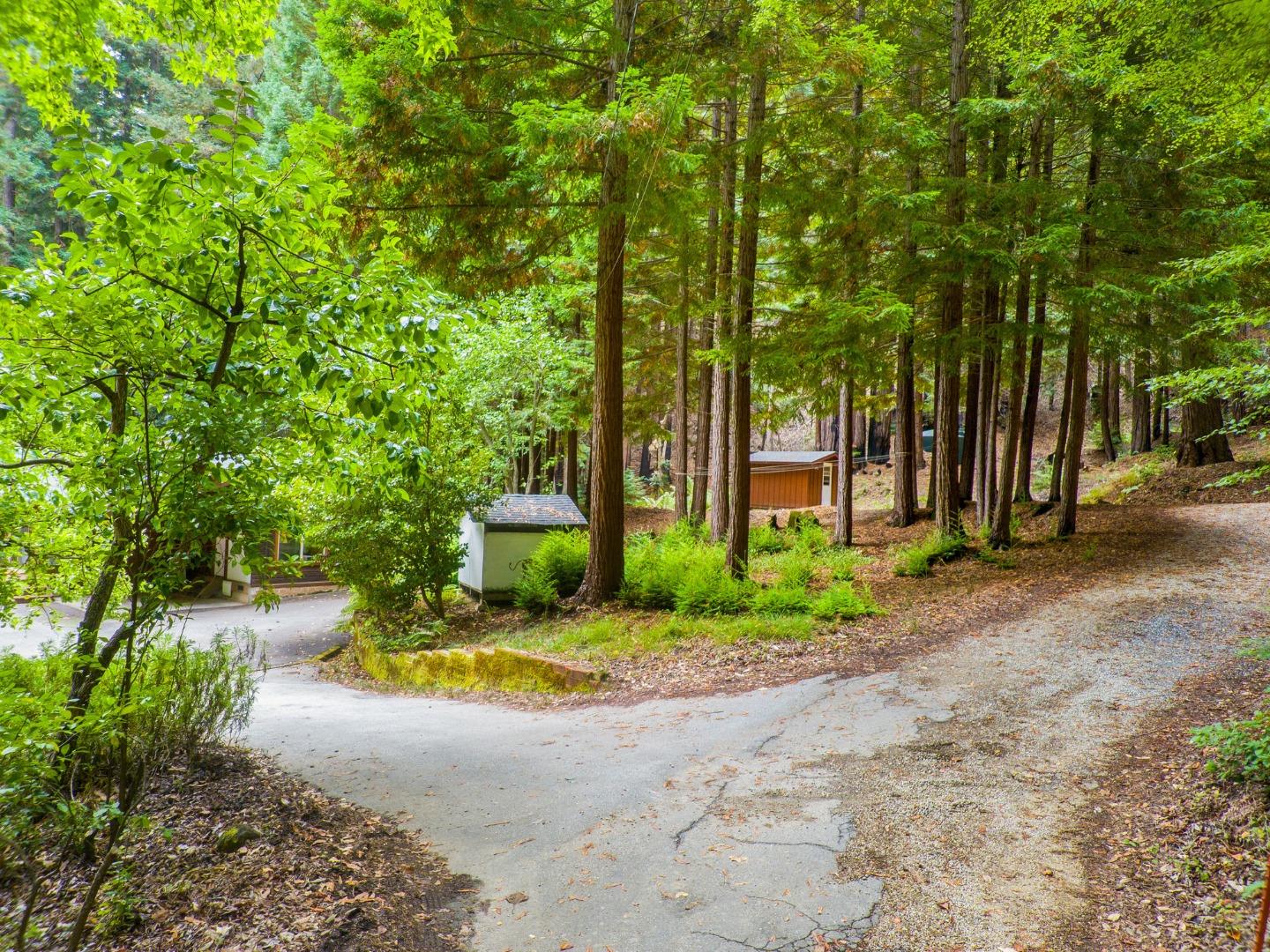 605 Waldeberg Road Ben Lomond, CA 95005 - Photo 42 of 45 a view of a backyard with plants and trees