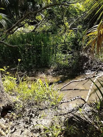 $123,000 | 4840 Indian Oak Drive, Mulberry, FL 33860