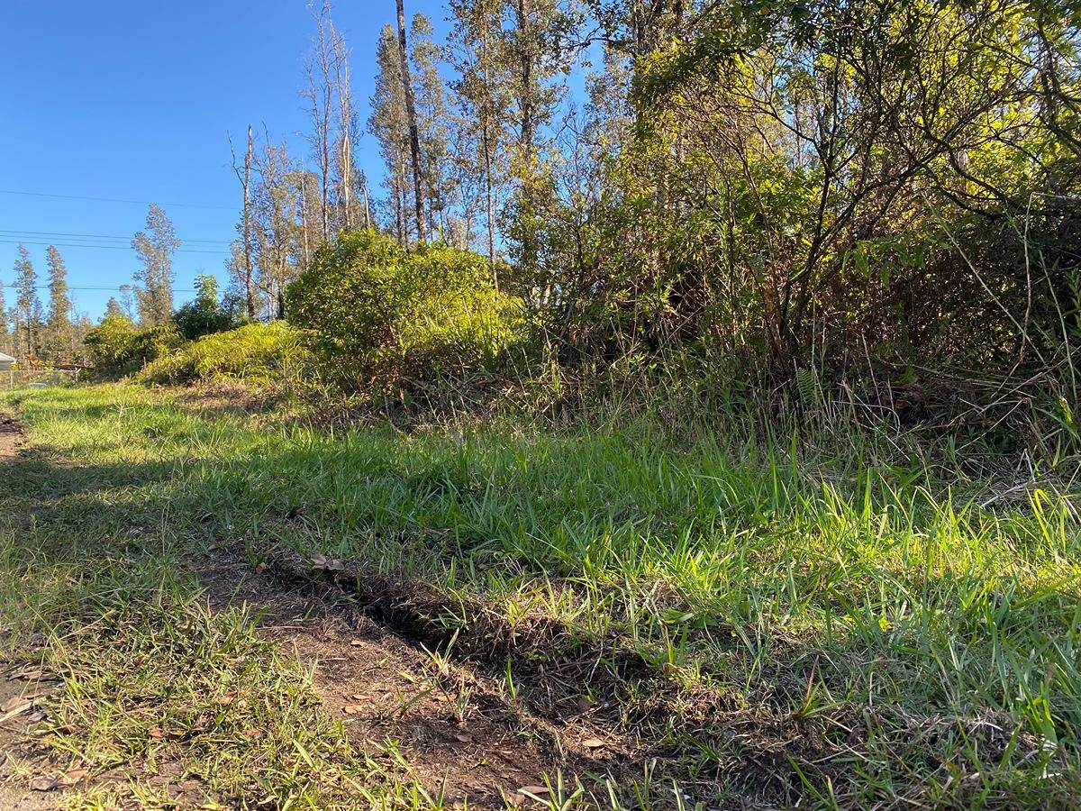 93 Paradise Road Pahoa, HI 96778 - Photo 8 of 10 Gallery Image 8