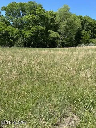 $60,000 | 789 Smith Bend Lane, Gainesboro, TN 38562