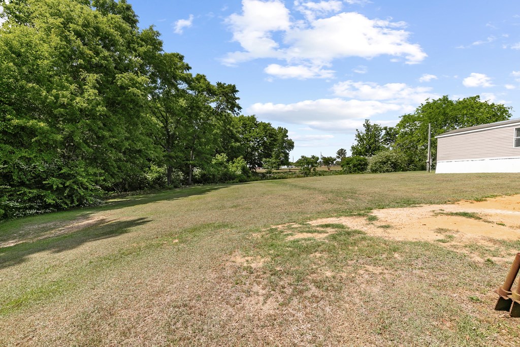 1048 Hubbard Road Newton, AL 36352 - Photo 8 of 39
