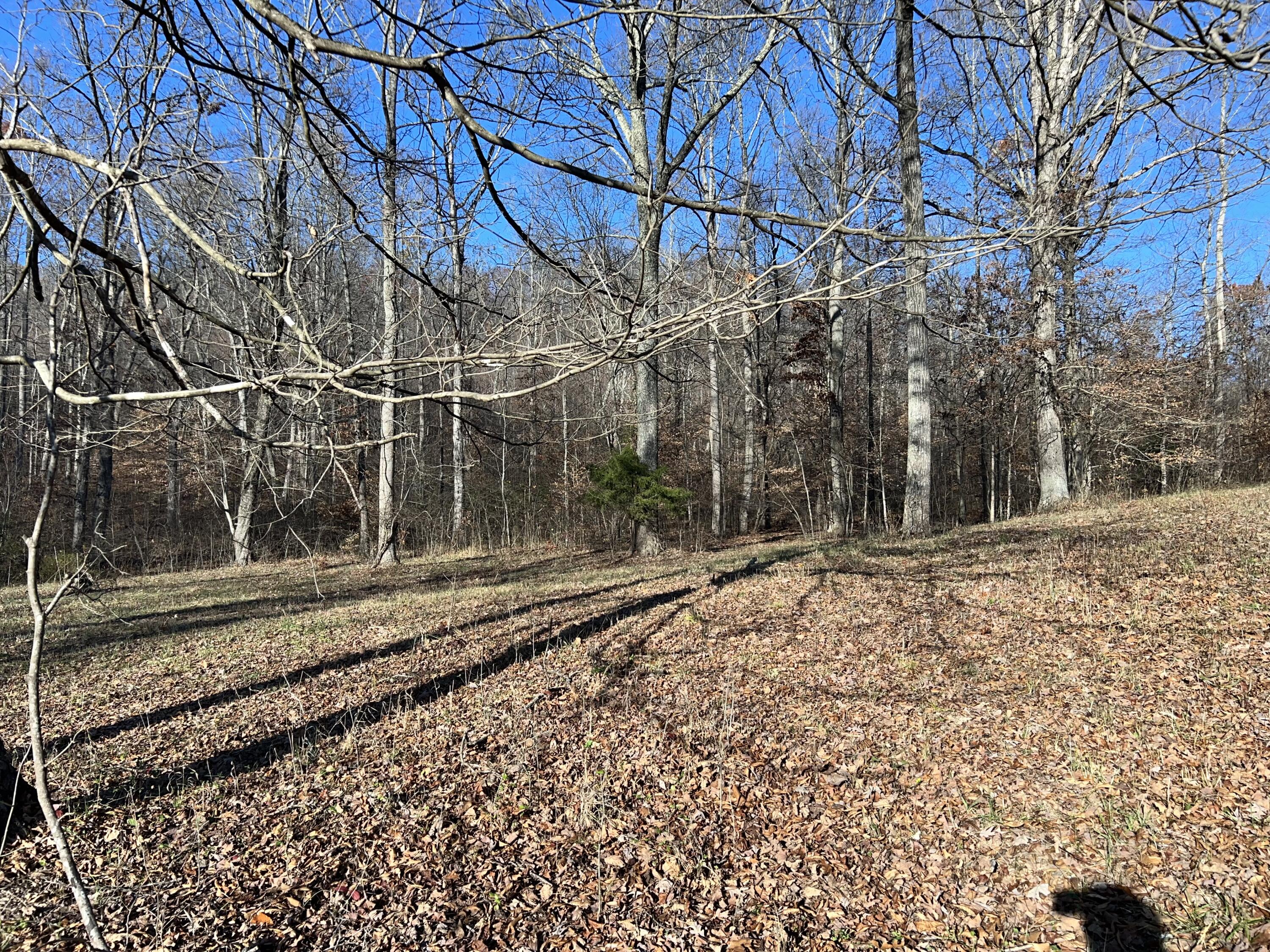 0 West Bowman Springs Road Wallingford, KY 41093 - Photo 8 of 13 IMG_2746