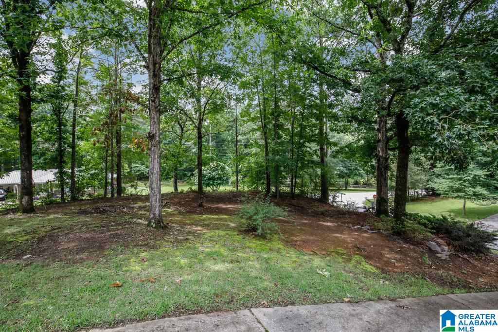 33 Hunters Trace Pelham, AL 35124 - Photo 29 of 31