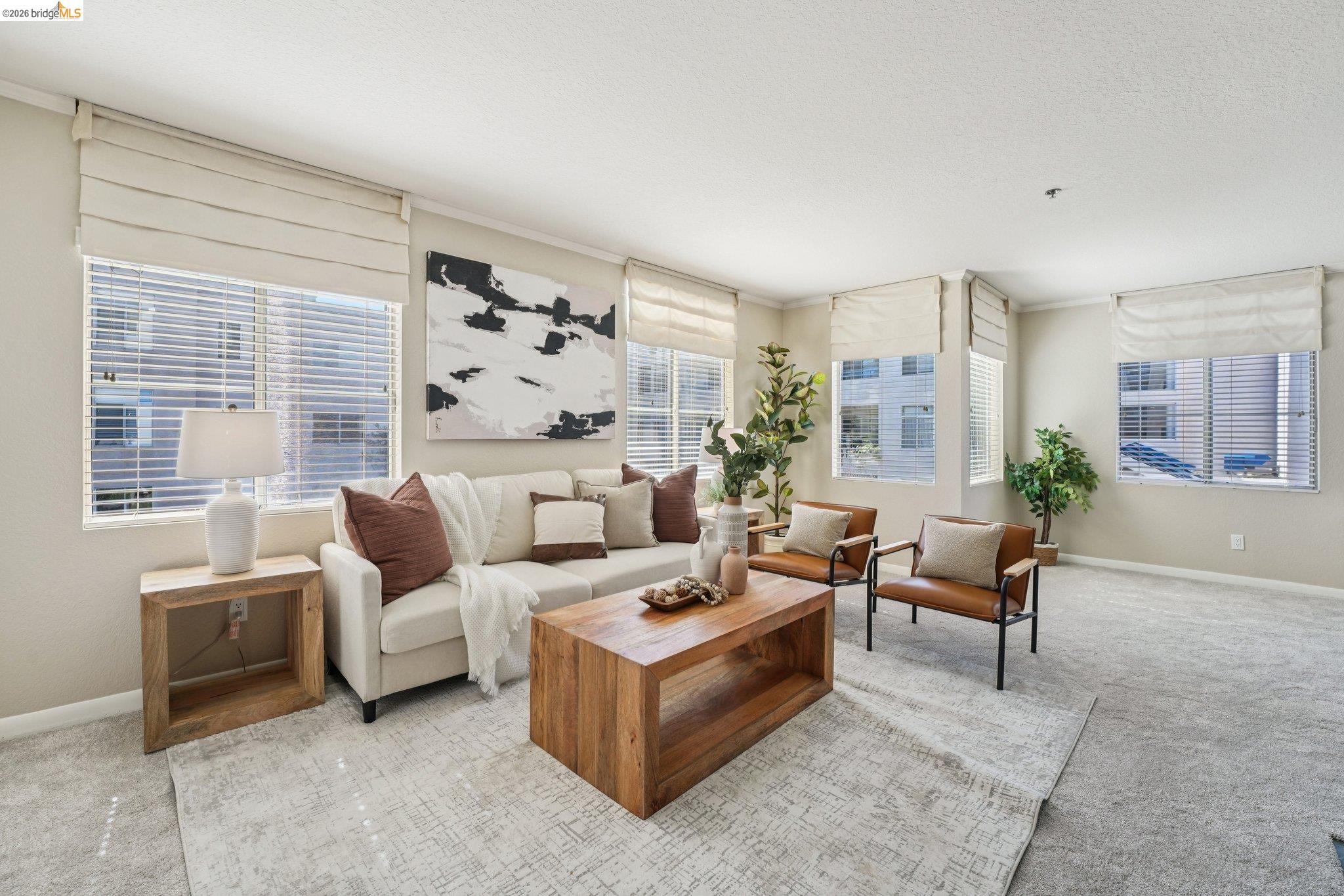 535 Pierce Street, Unit 3216 Albany, CA 94706 - Photo 1 of 47 Carpeted living room with baseboards and crown molding