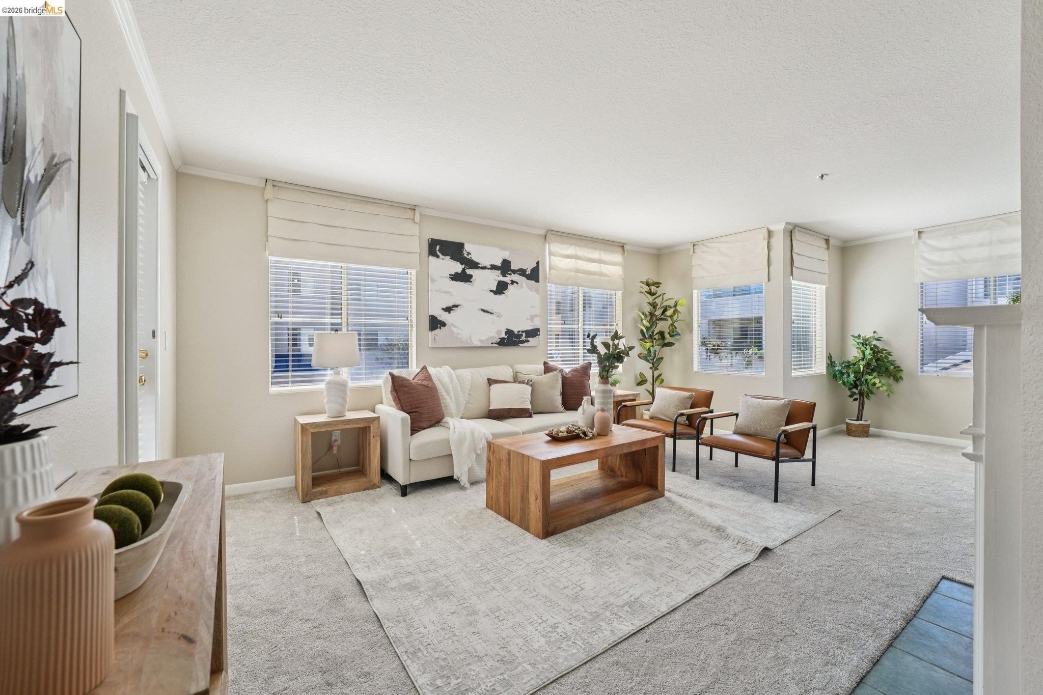 535 Pierce Street, Unit 3216 Albany, CA 94706 - Photo 6 of 47 Living area featuring ornamental molding, carpet, a textured ceiling, and plenty of natural light