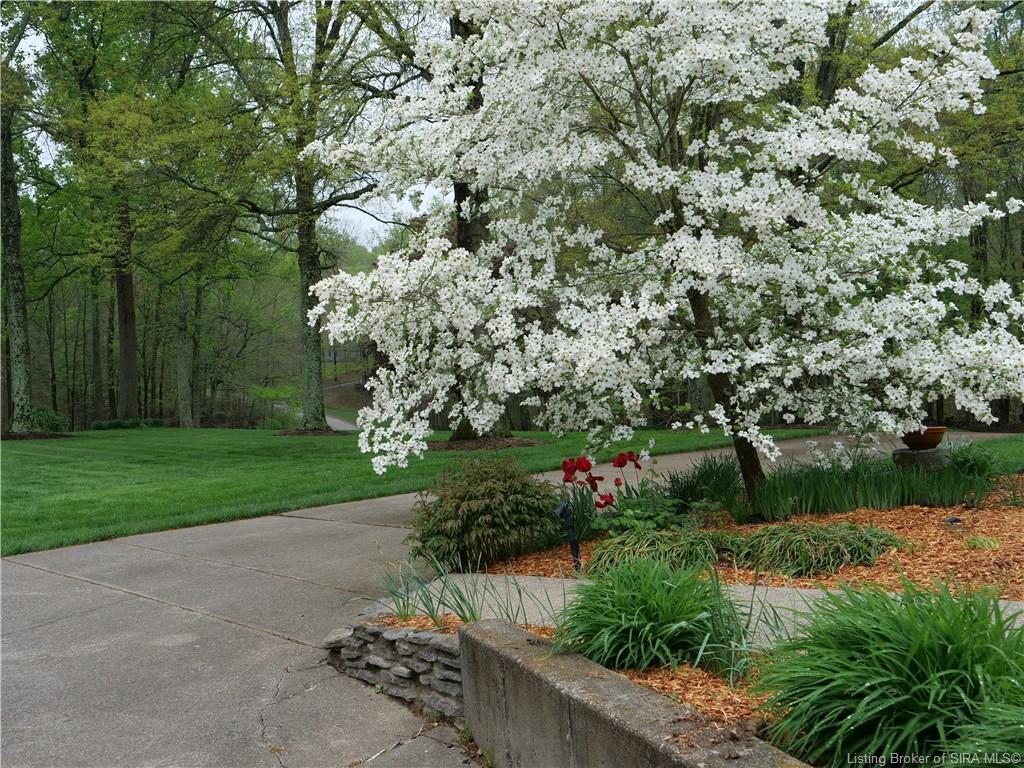3831 Dogwood Road Floyds Knobs, IN 47119 - Photo 41 of 51
