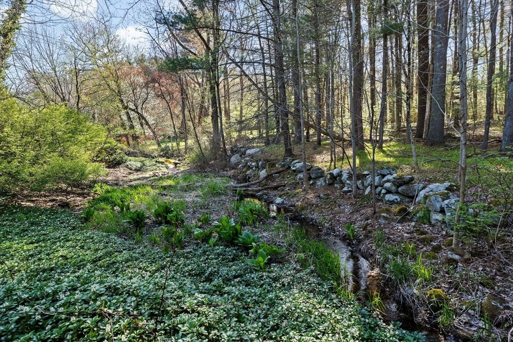 27 Everett Street Norfolk, MA 02056 - Photo 29 of 37 a green field with lots of trees