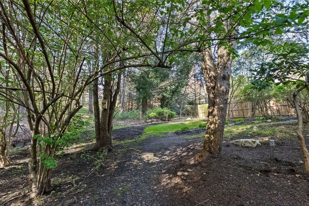 27 Everett Street Norfolk, MA 02056 - Photo 31 of 37 a view of a forest with trees