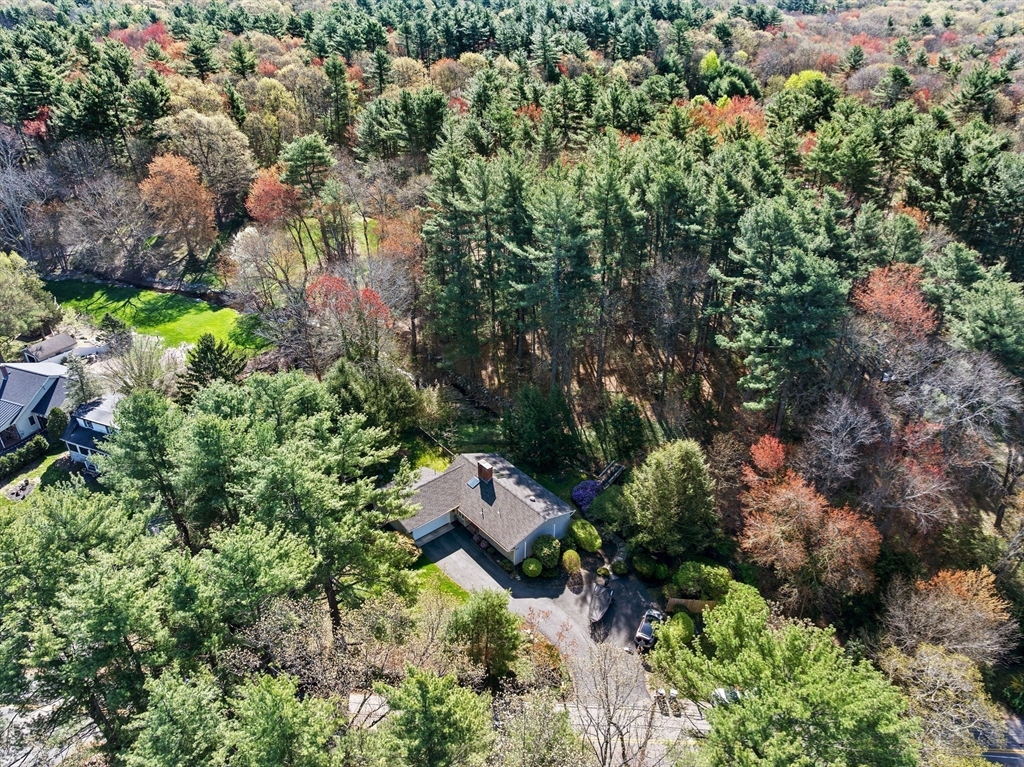 27 Everett Street Norfolk, MA 02056 - Photo 33 of 37 an aerial view of residential house with outdoor space and trees all around
