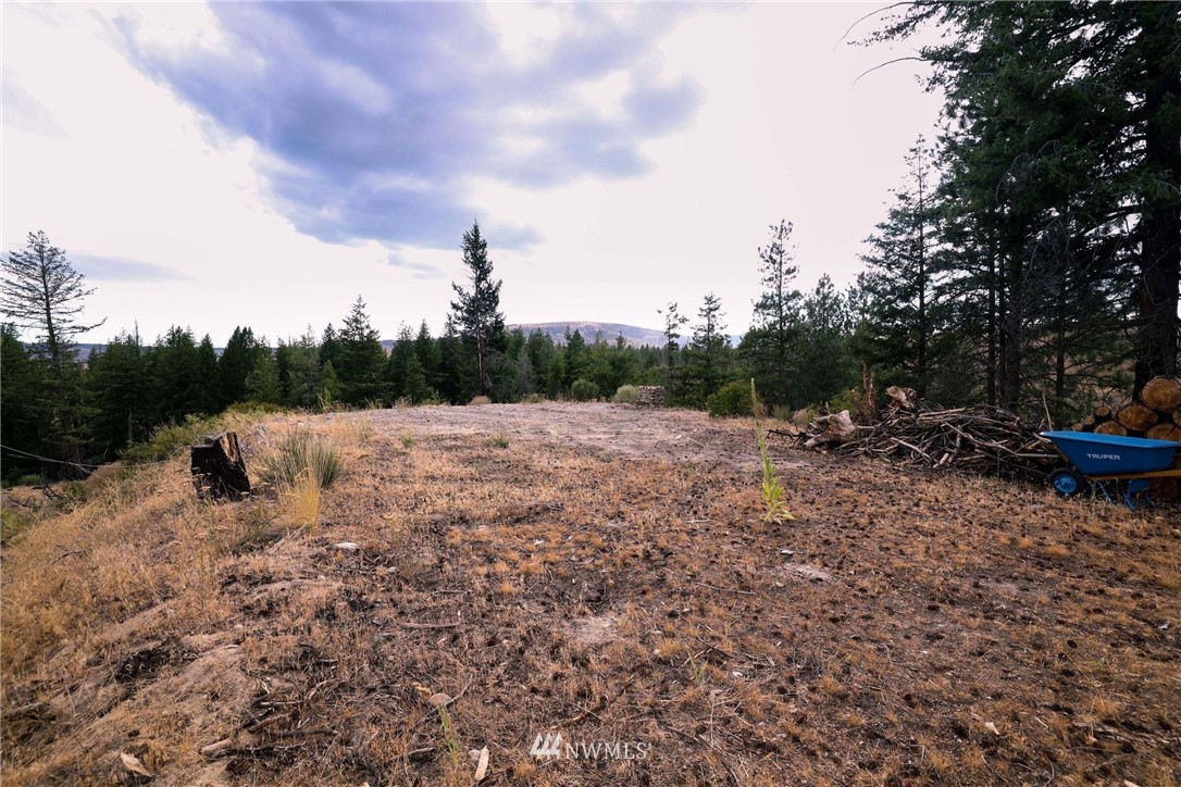 0 Golden Rule Road Malott, WA 98829 - Photo 11 of 14 Gallery Image 11